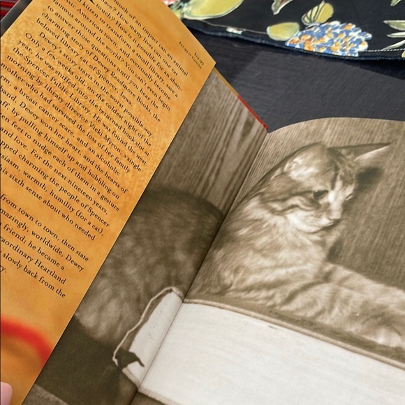 Dewey: The Small-Town Library Cat Book - Picture 4 of 5